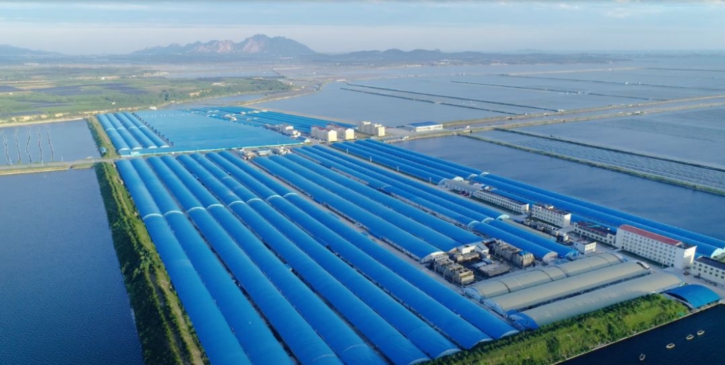 中文字幕av久久波多野结