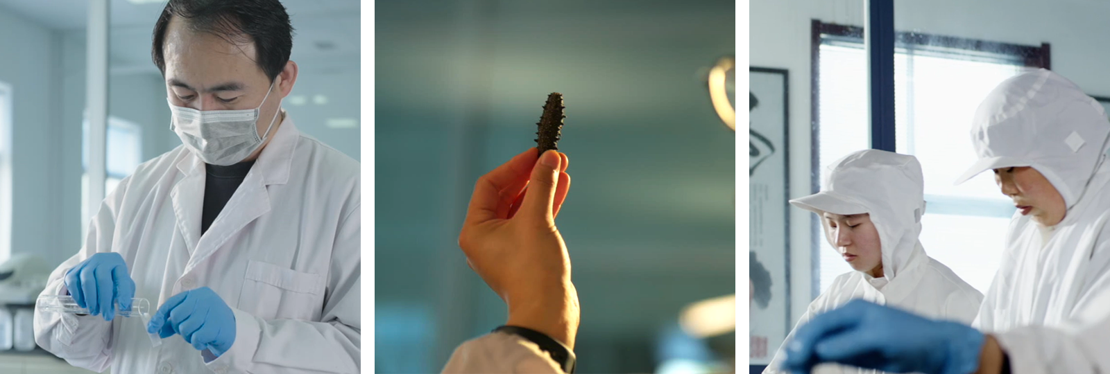 中文字幕av久久波多野结