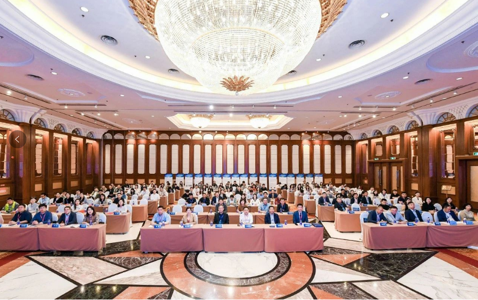 中文字幕av久久波多野结