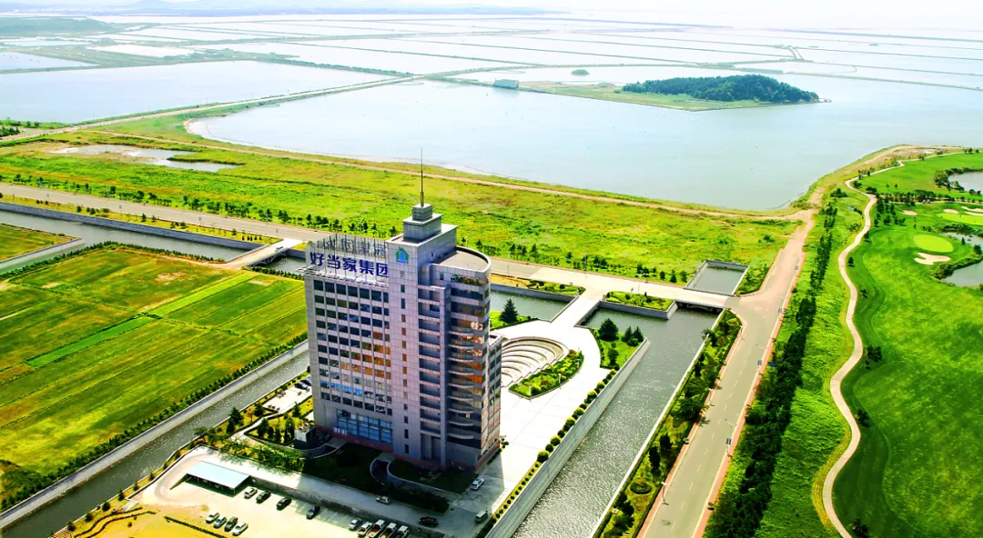 中文字幕av久久波多野结