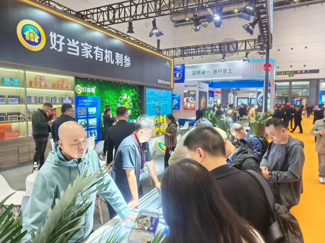 中文字幕av久久波多野结