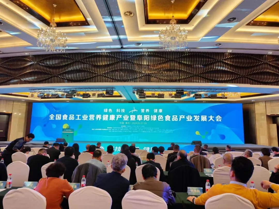 中文字幕av久久波多野结