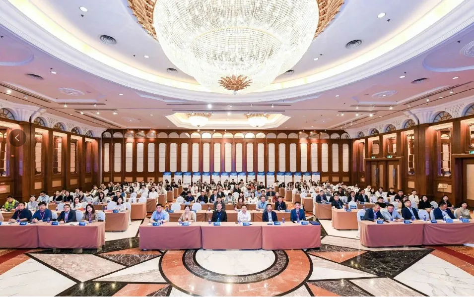 中文字幕av久久波多野结