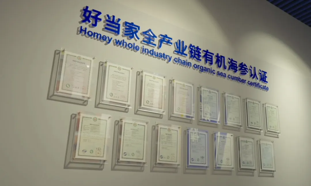 中文字幕av久久波多野结