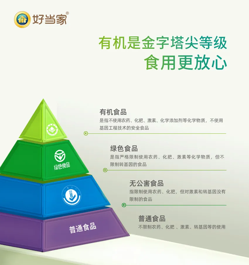 中文字幕av久久波多野结