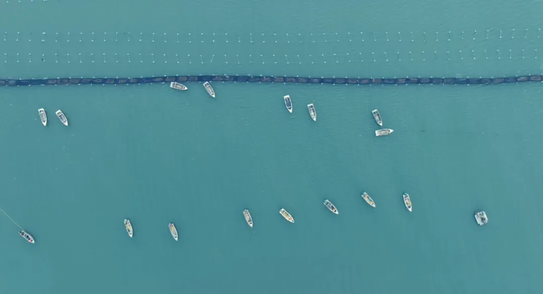 中文字幕av久久波多野结