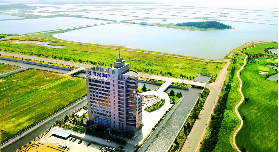 中文字幕av久久波多野结