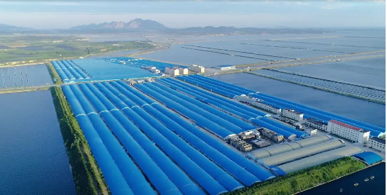 中文字幕av久久波多野结