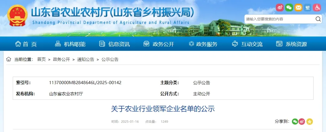中文字幕av久久波多野结