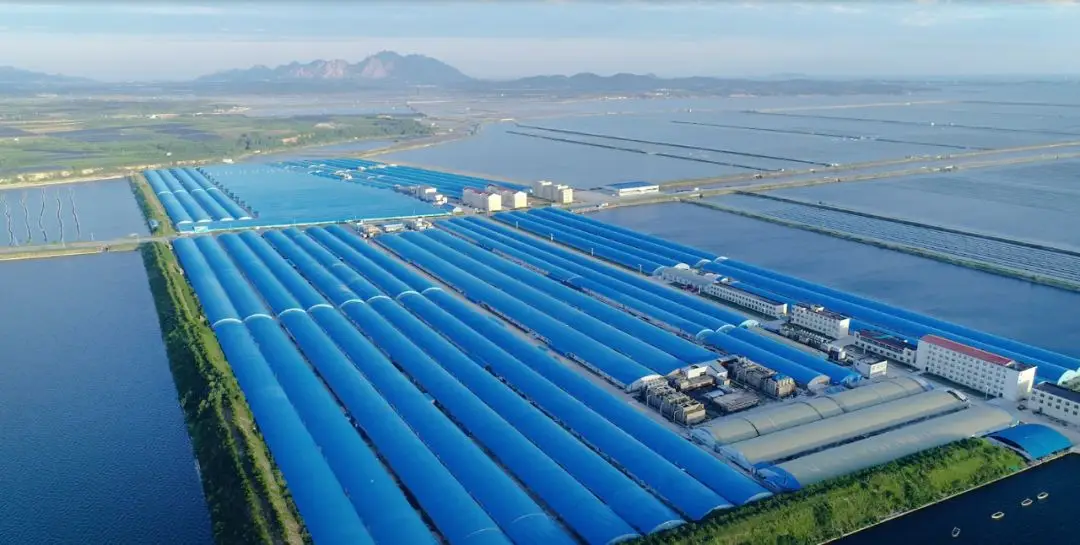 中文字幕av久久波多野结