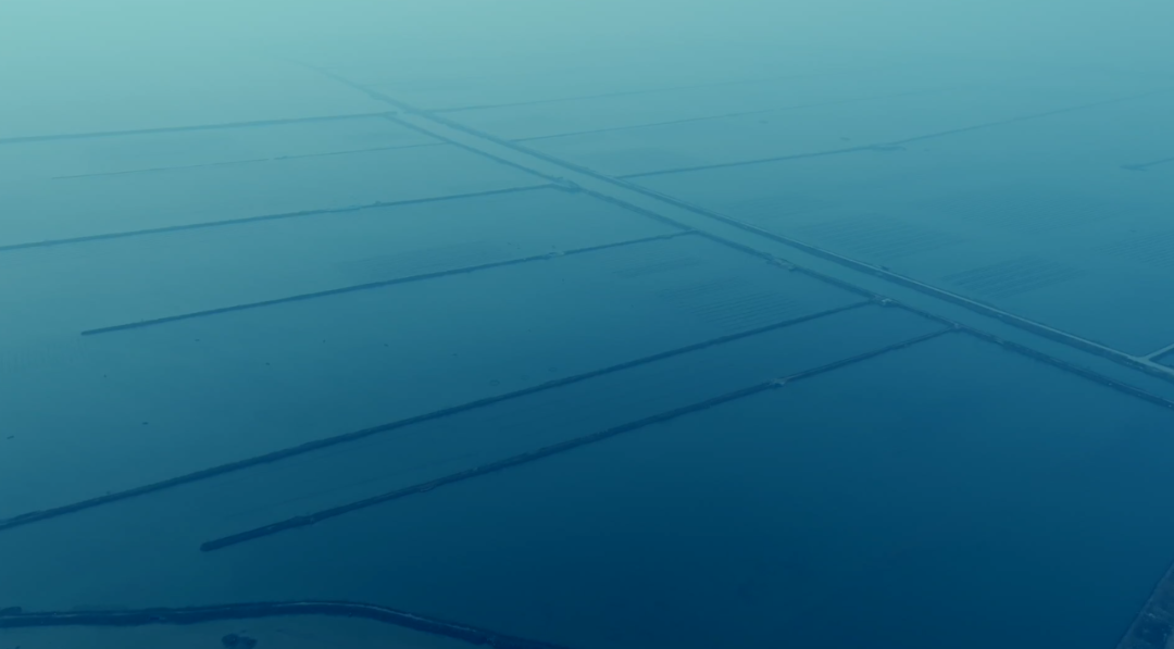 中文字幕av久久波多野结