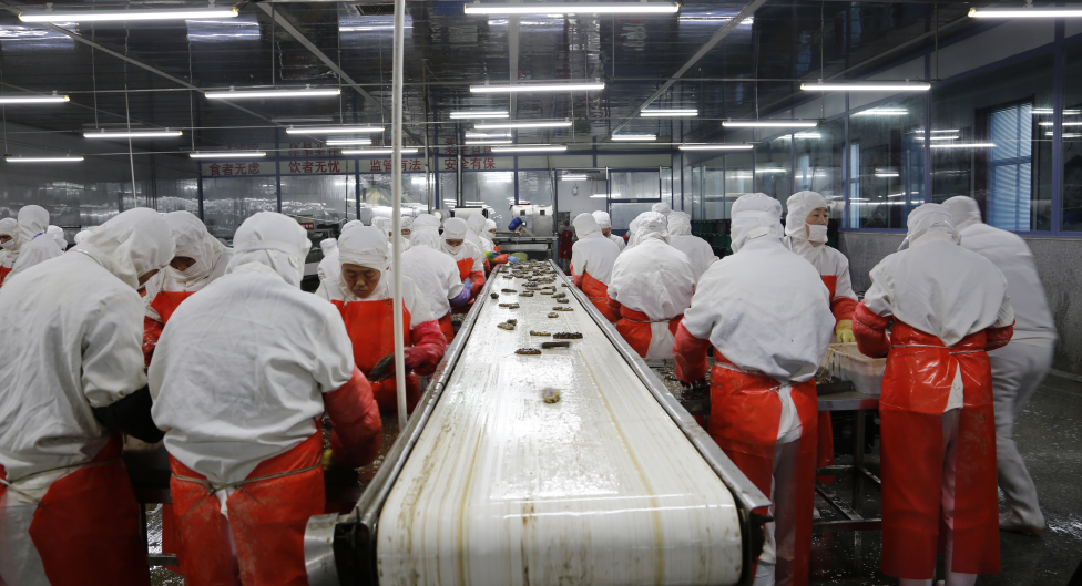 中文字幕av久久波多野结