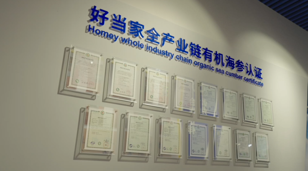 中文字幕av久久波多野结