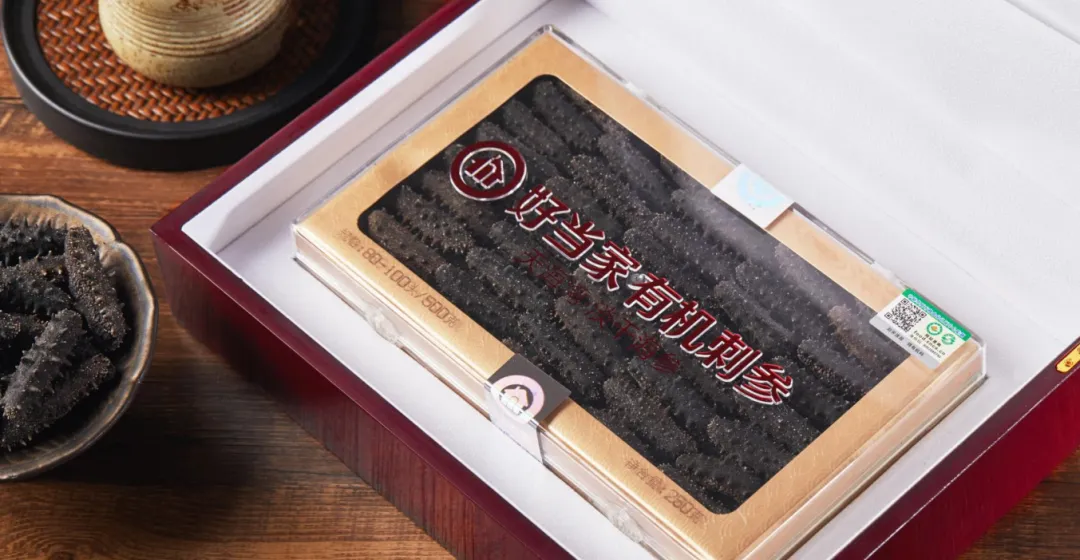 中文字幕av久久波多野结