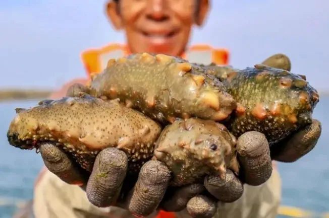中文字幕av久久波多野结