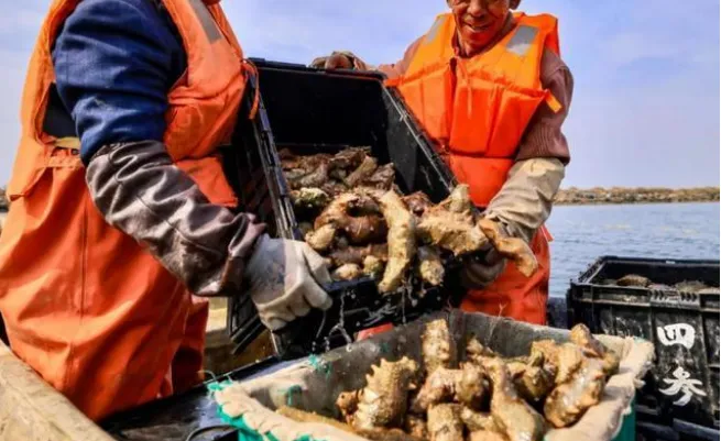 中文字幕av久久波多野结