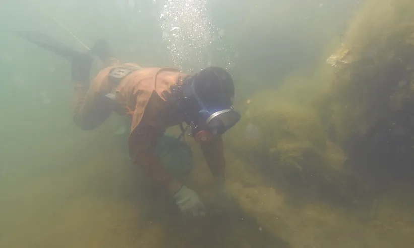 中文字幕av久久波多野结