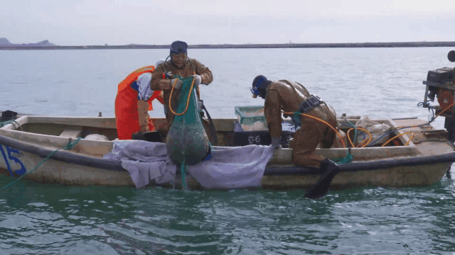 中文字幕av久久波多野结