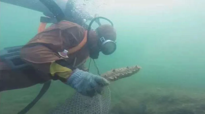 中文字幕av久久波多野结