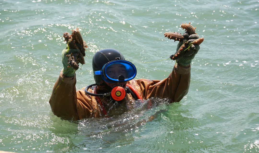 中文字幕av久久波多野结