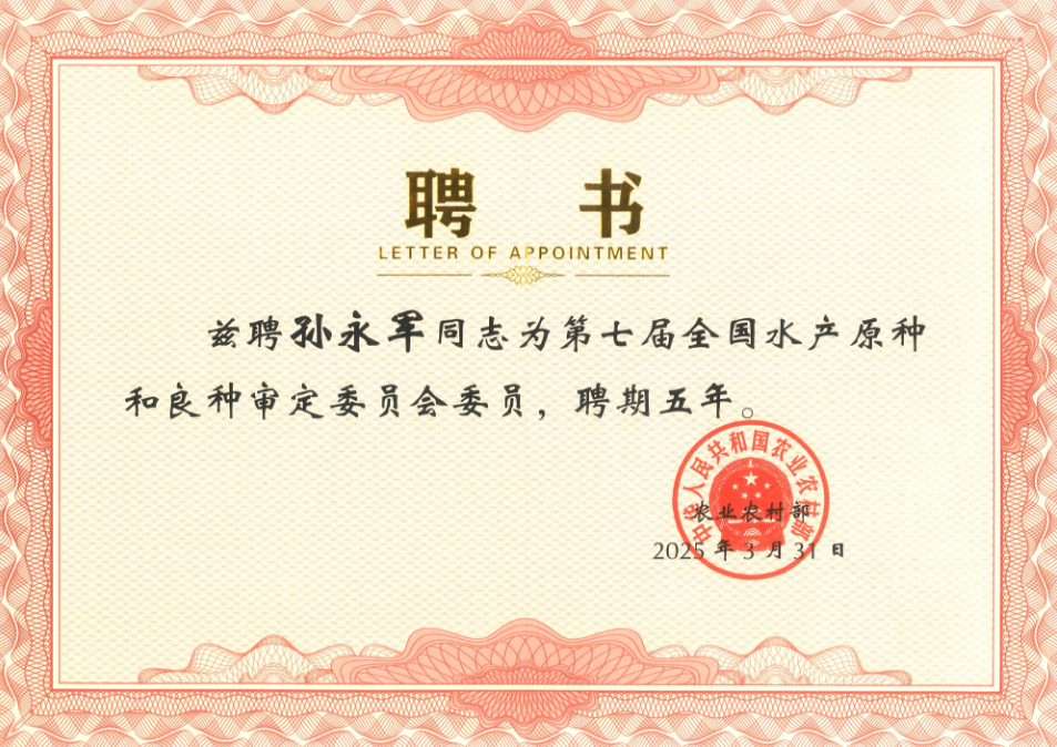 中文字幕av久久波多野结