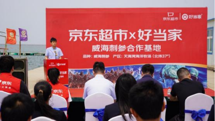 中文字幕av久久波多野结