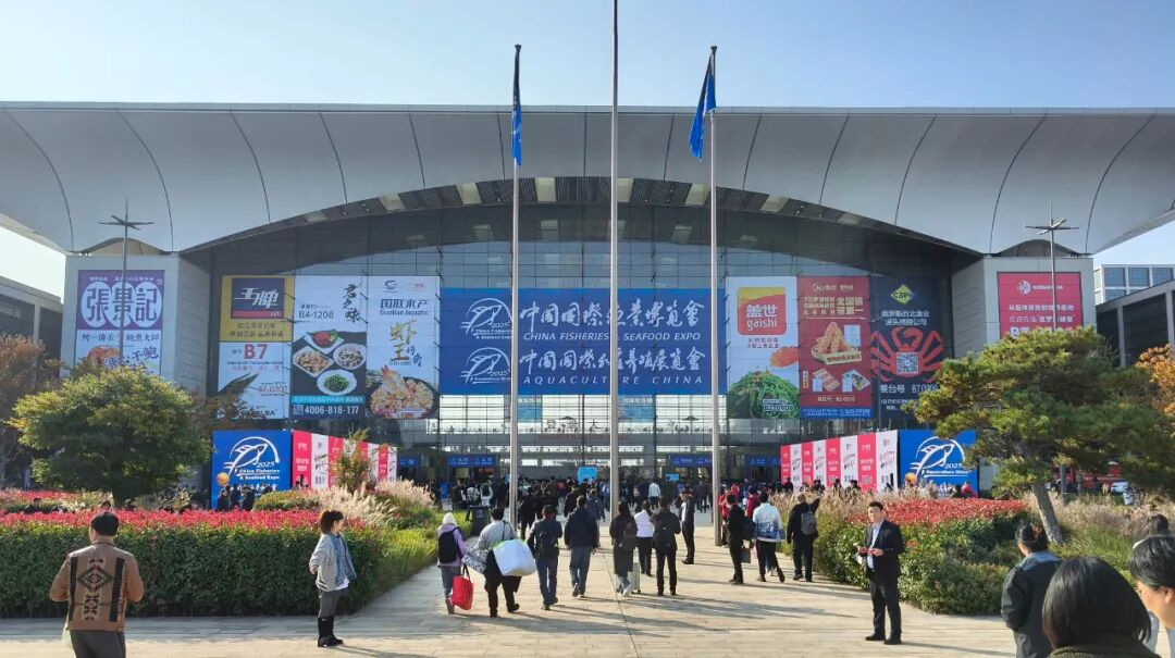 中文字幕av久久波多野结