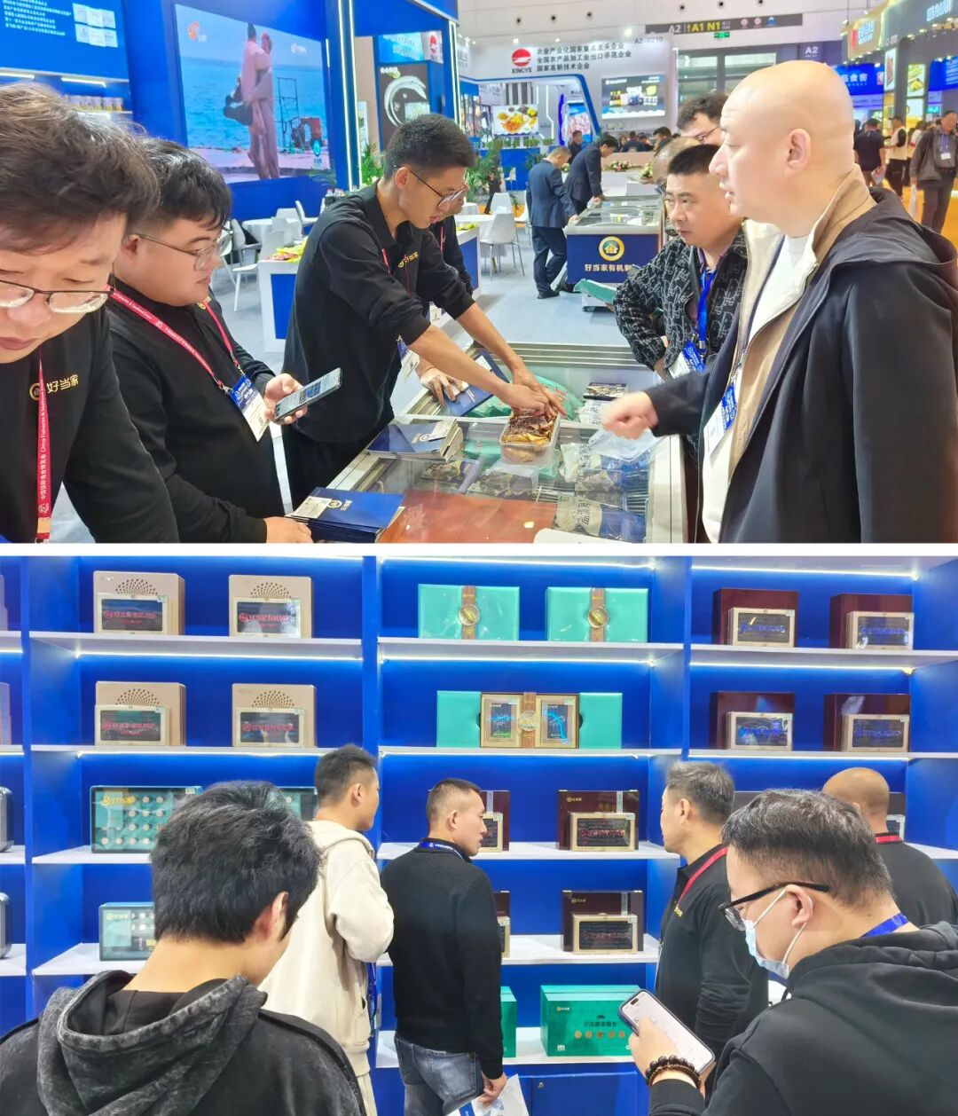 中文字幕av久久波多野结